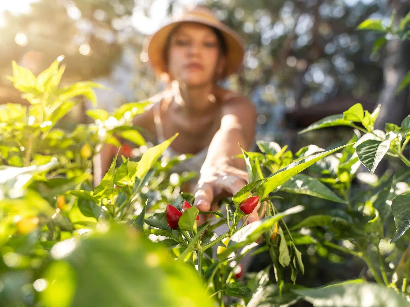 Mantra Chatswood PEOPLE