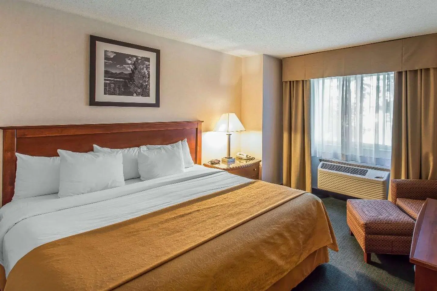 Quality Inn & Suites Steamboat Springs ROOM_EXAMPLE