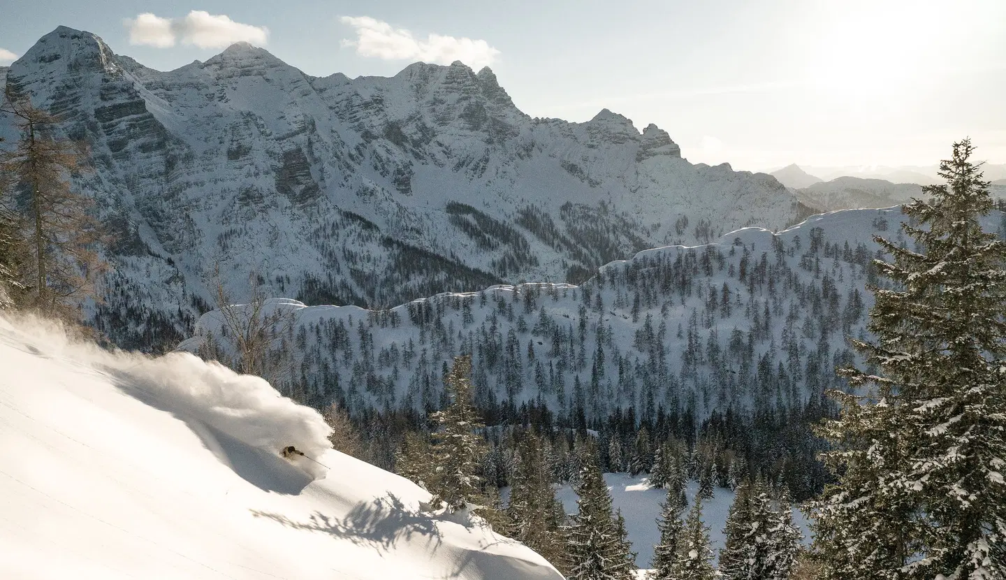 St. Hubertus LANDSCAPE