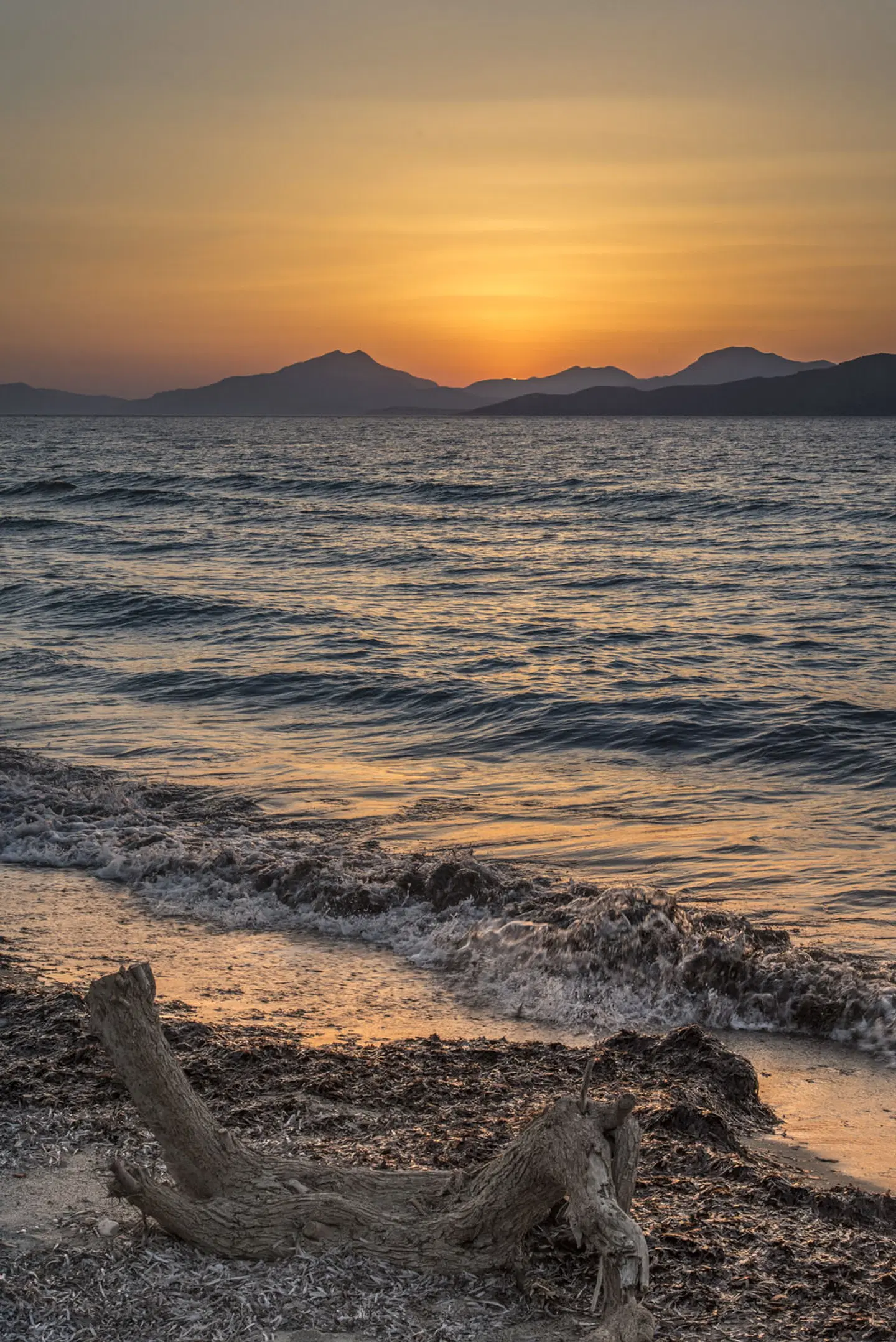 Byron Apartments LANDSCAPE