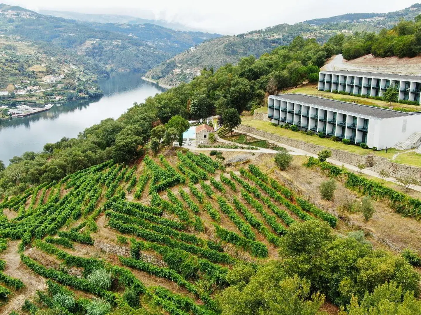 Douro Palace Hotel Resort & SPA LANDSCAPE