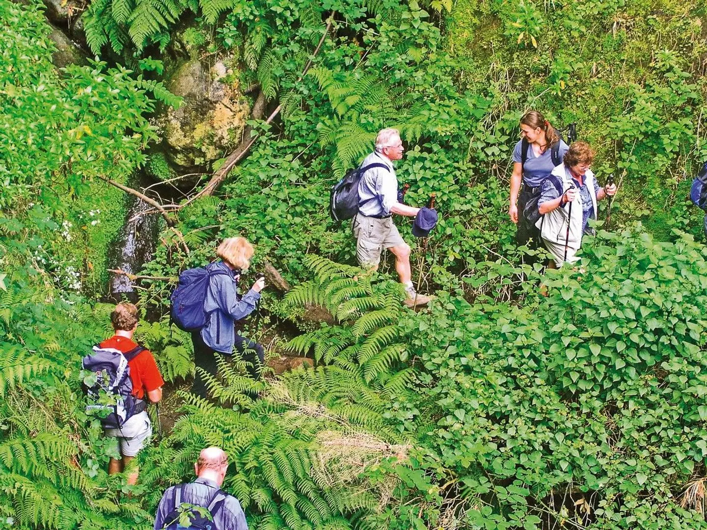 Madeira - Grüne Trauminsel im Atlantik LANDSCAPE