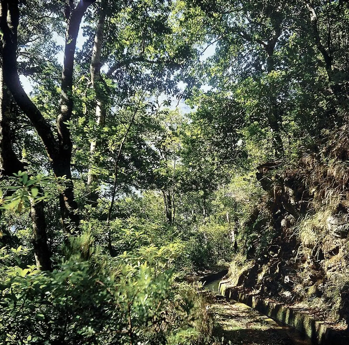 Madeira - Grüne Trauminsel im Atlantik LANDSCAPE