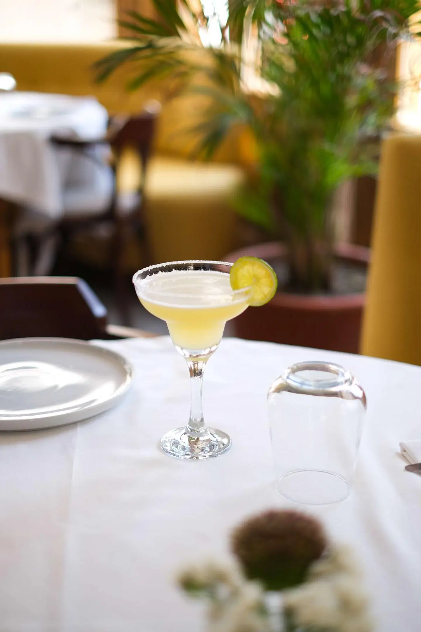 Viento Hotel Restaurant