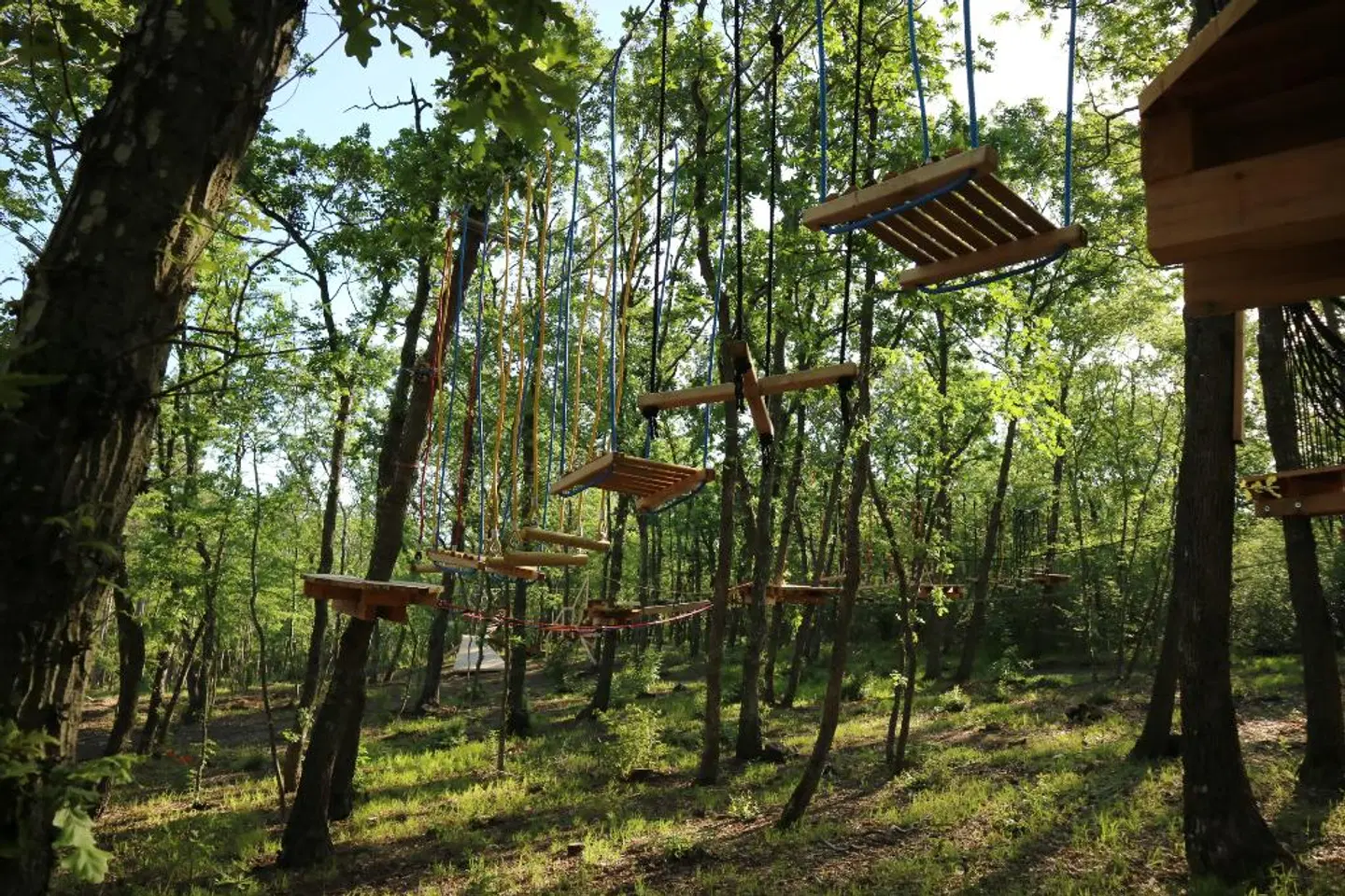 Bellevue Hotel LANDSCAPE