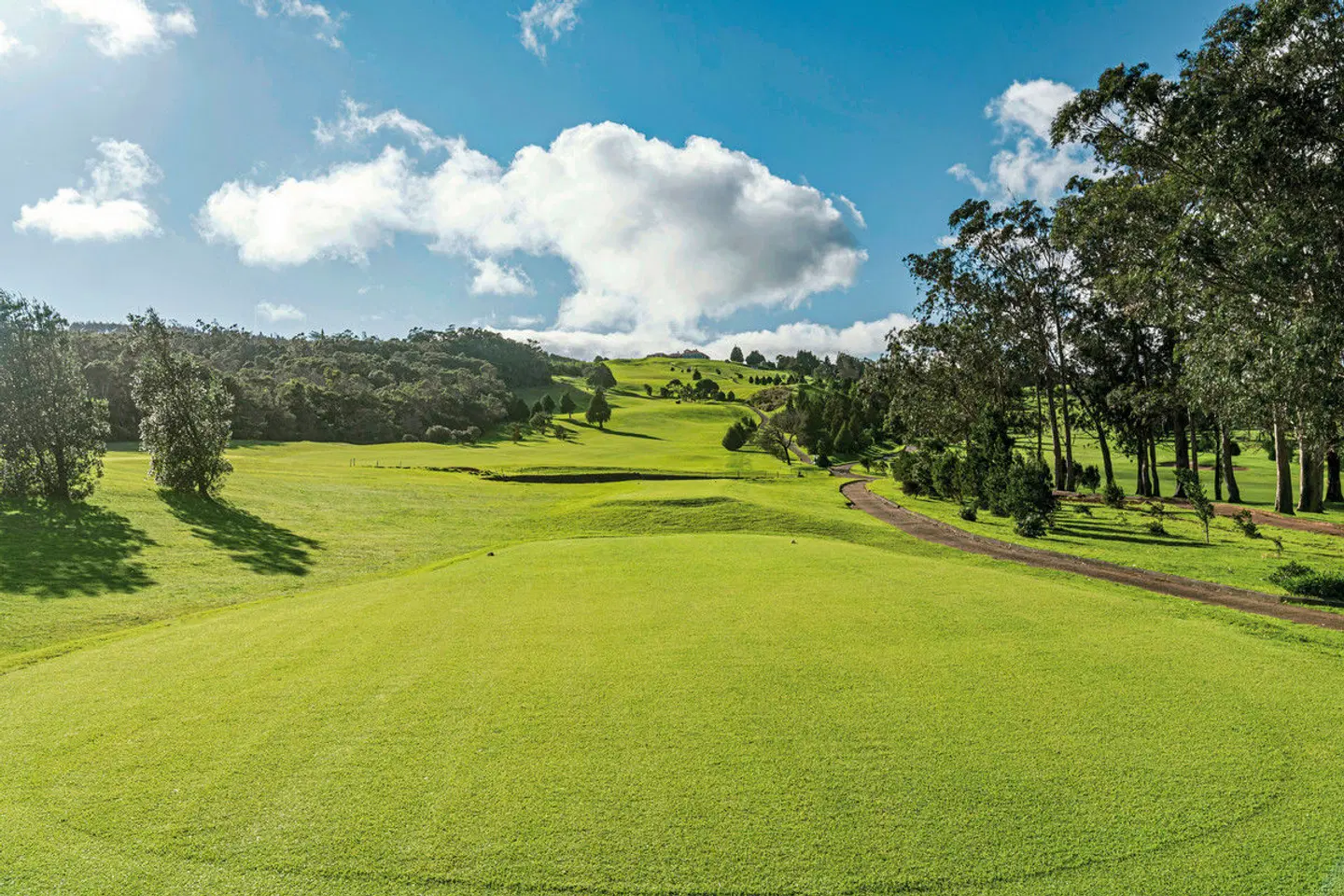 Casa Velha do Palheiro SPORTS_AND_LEISURE