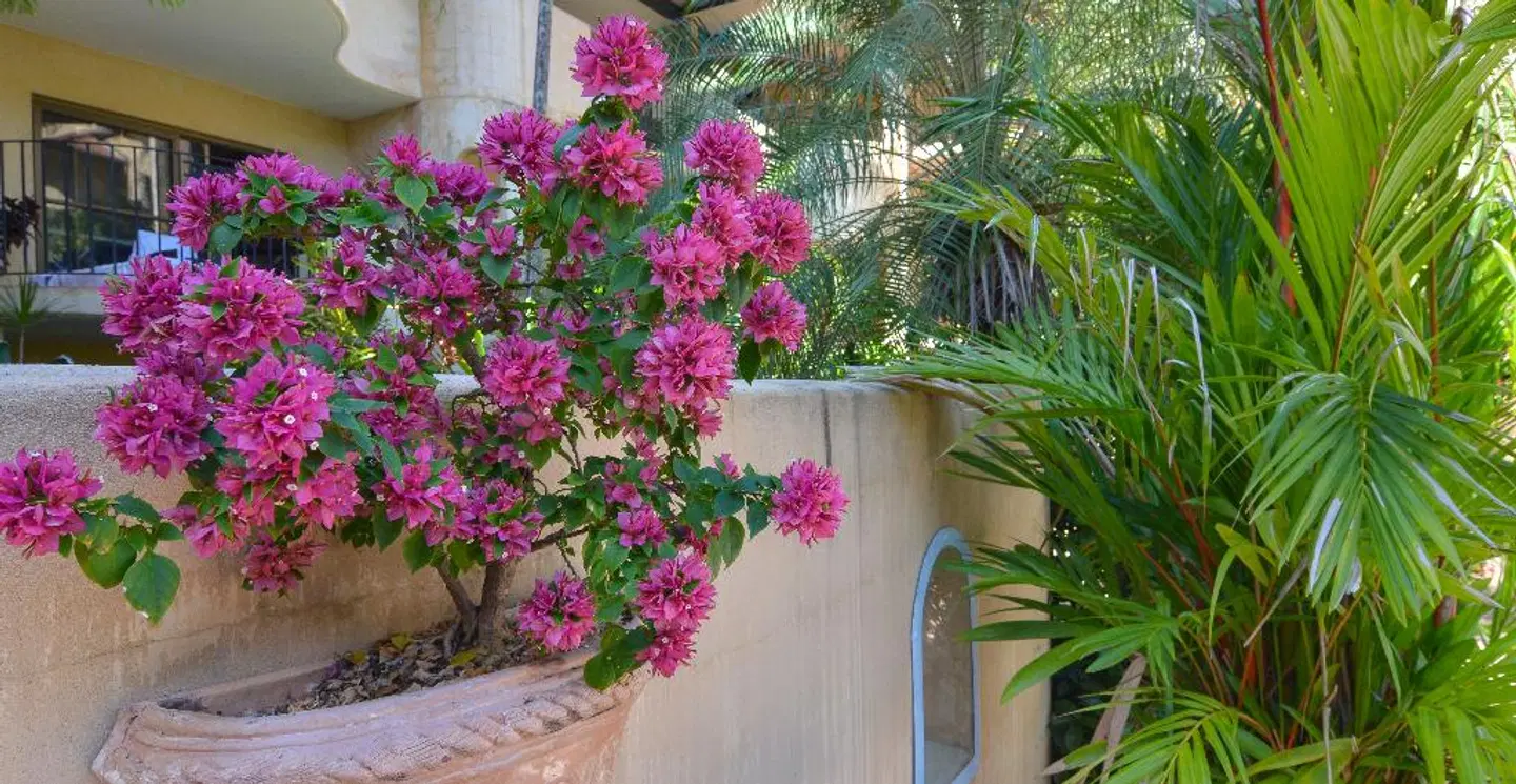 Villa San Michele EXTERIOR