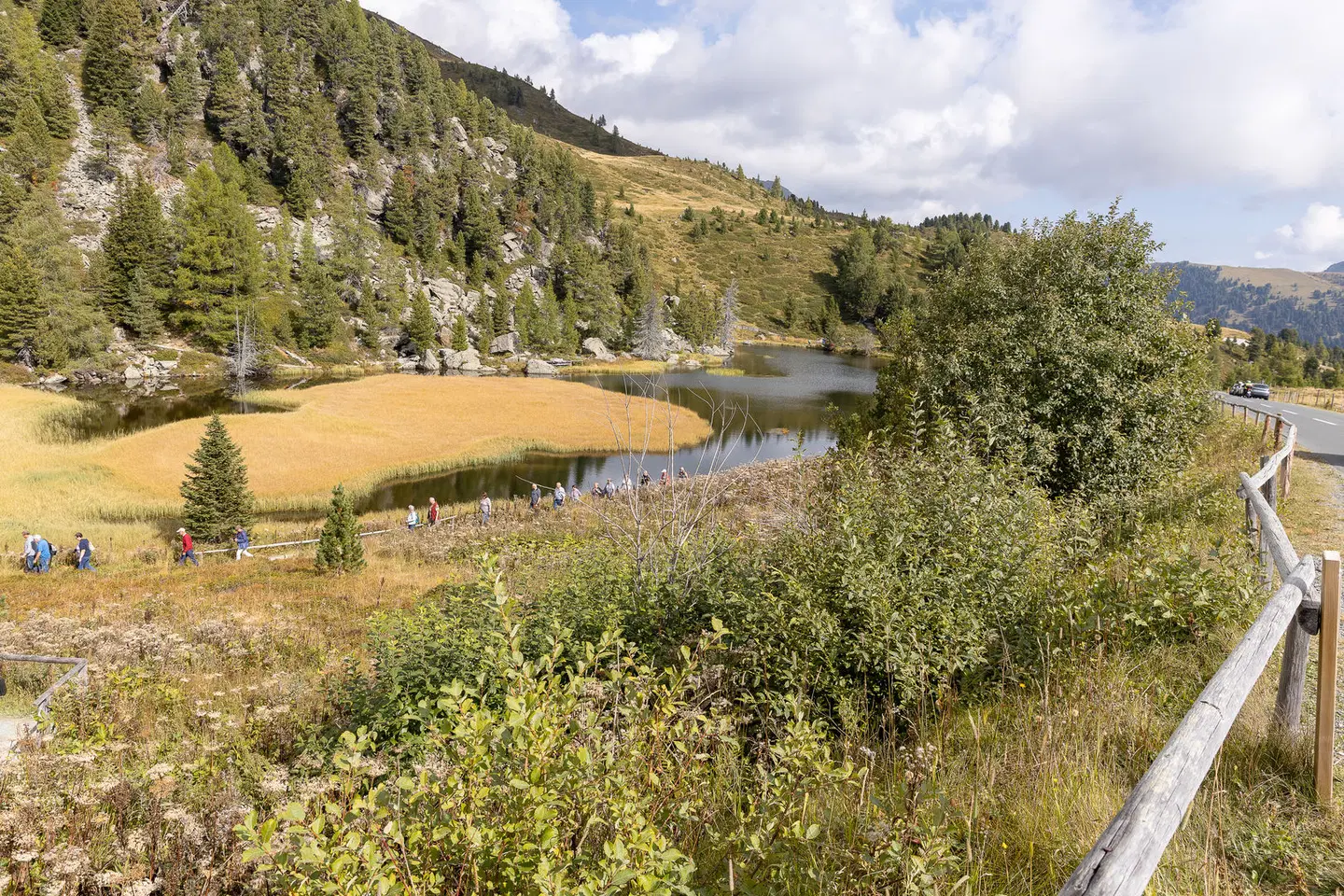 Feriendorf am Maltschacher See LANDSCAPE