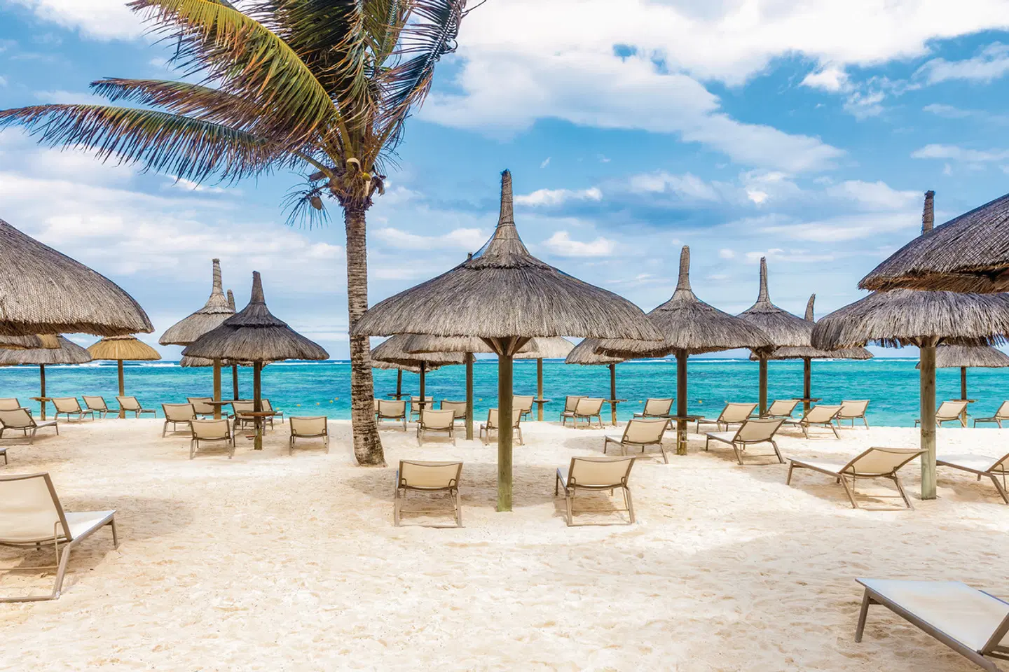 Friday Attitude Strand