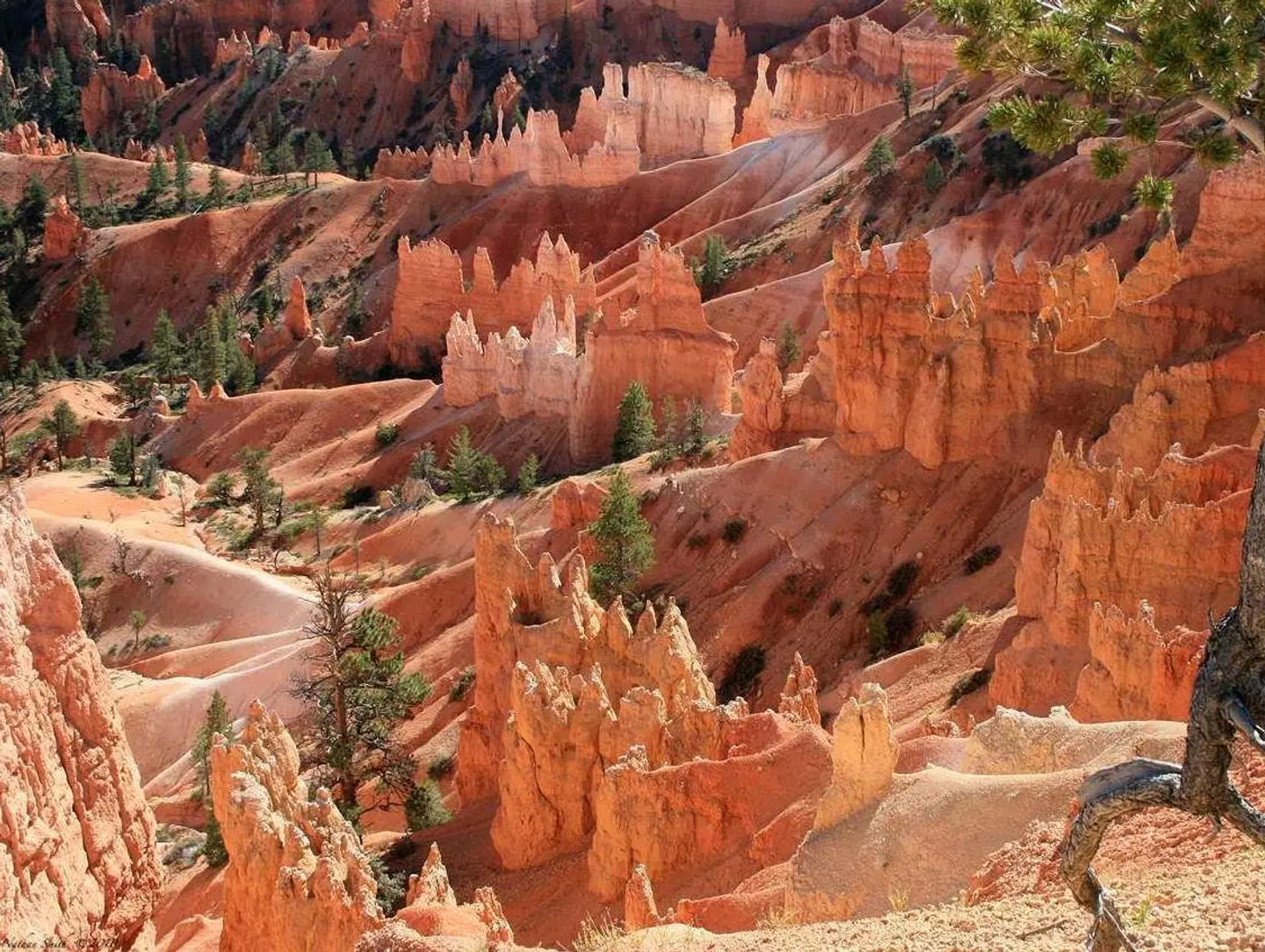 Hampton Inn & Suites Las Vegas South LANDSCAPE