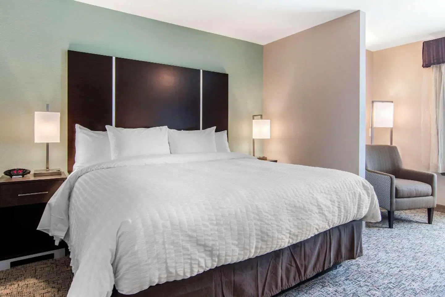 Clarion Inn & Suites Atlanta Downtown ROOM_EXAMPLE