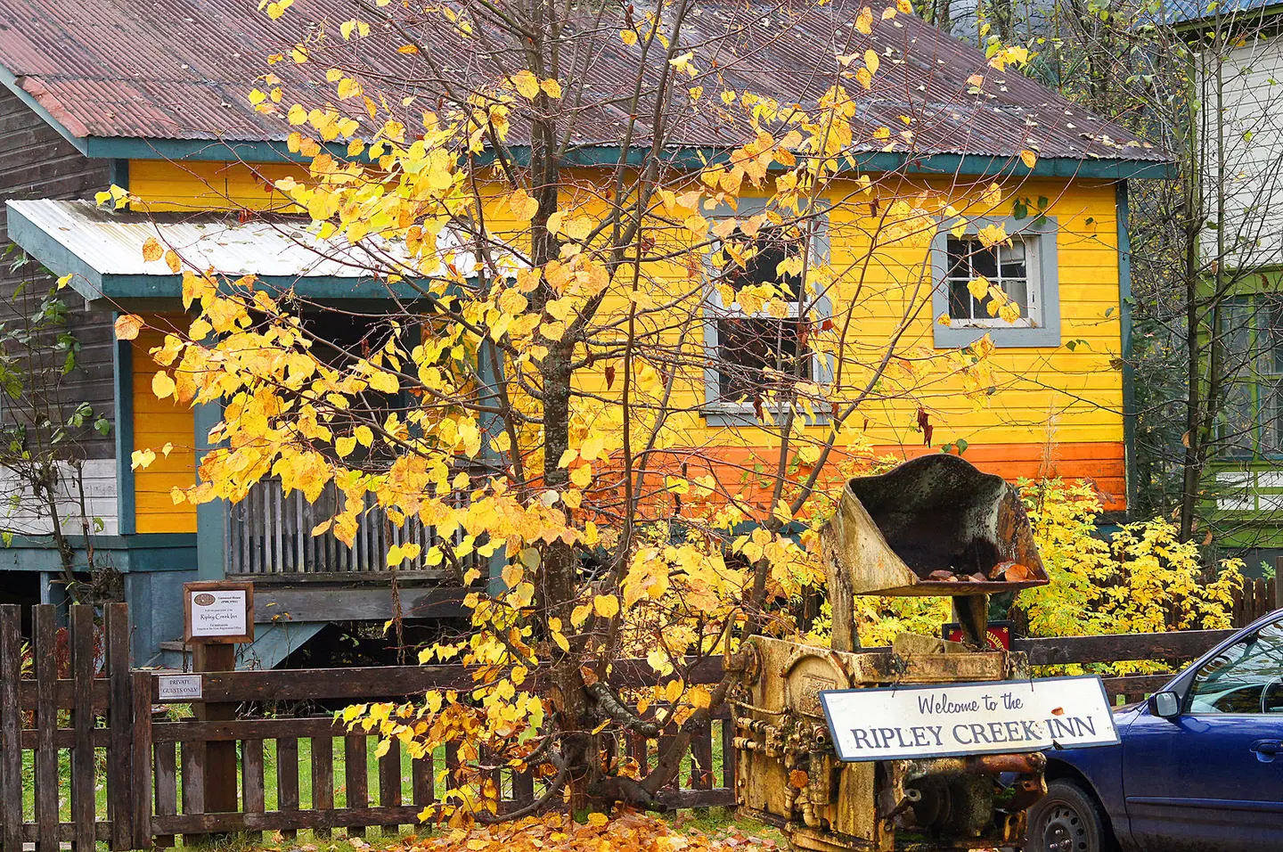 Ripley Creek Inn Tiere