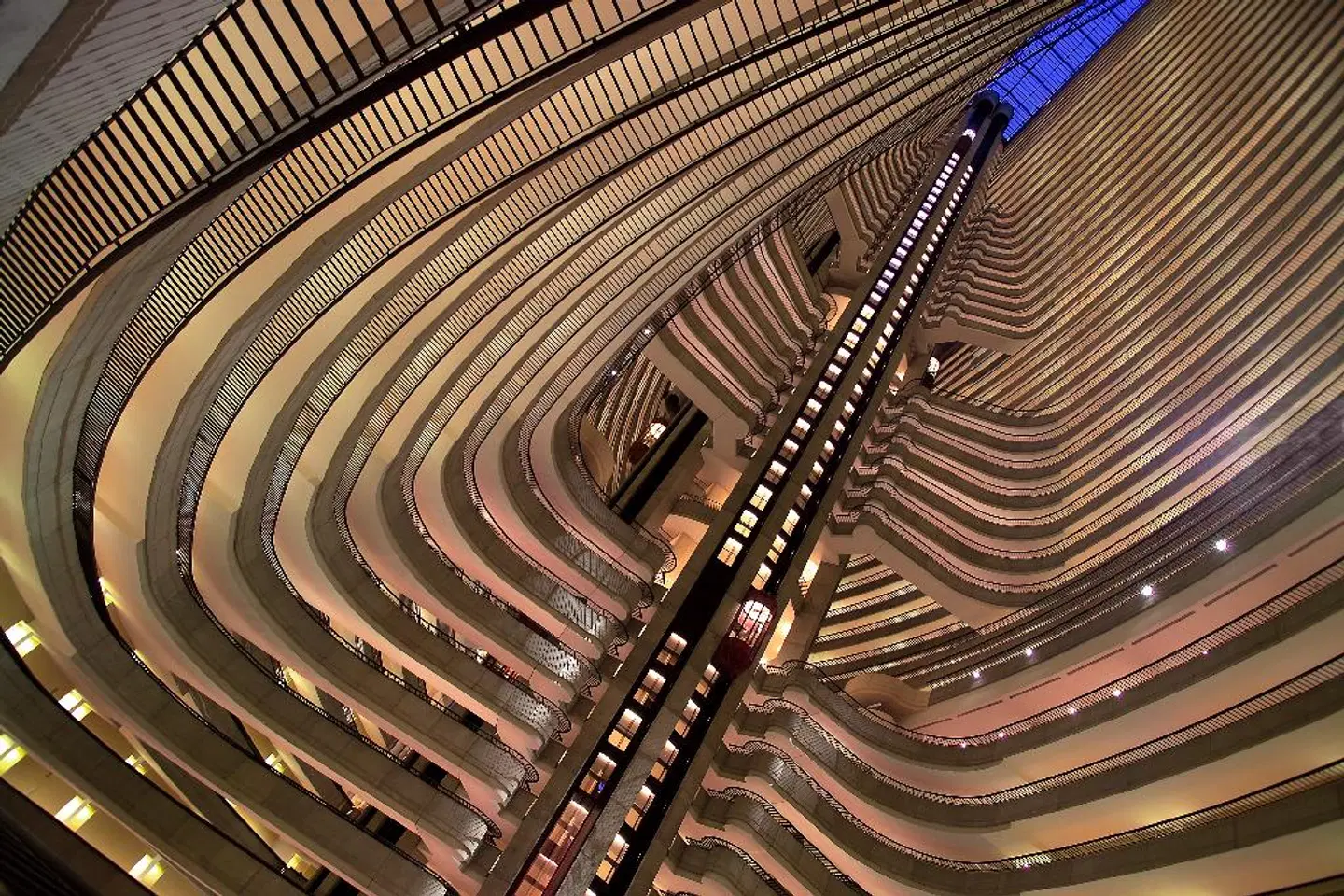Atlanta Marriott Marquis Tiere