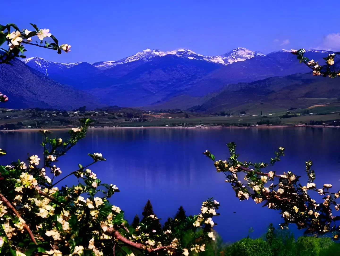 Lakeside Lodge and Suites LANDSCAPE