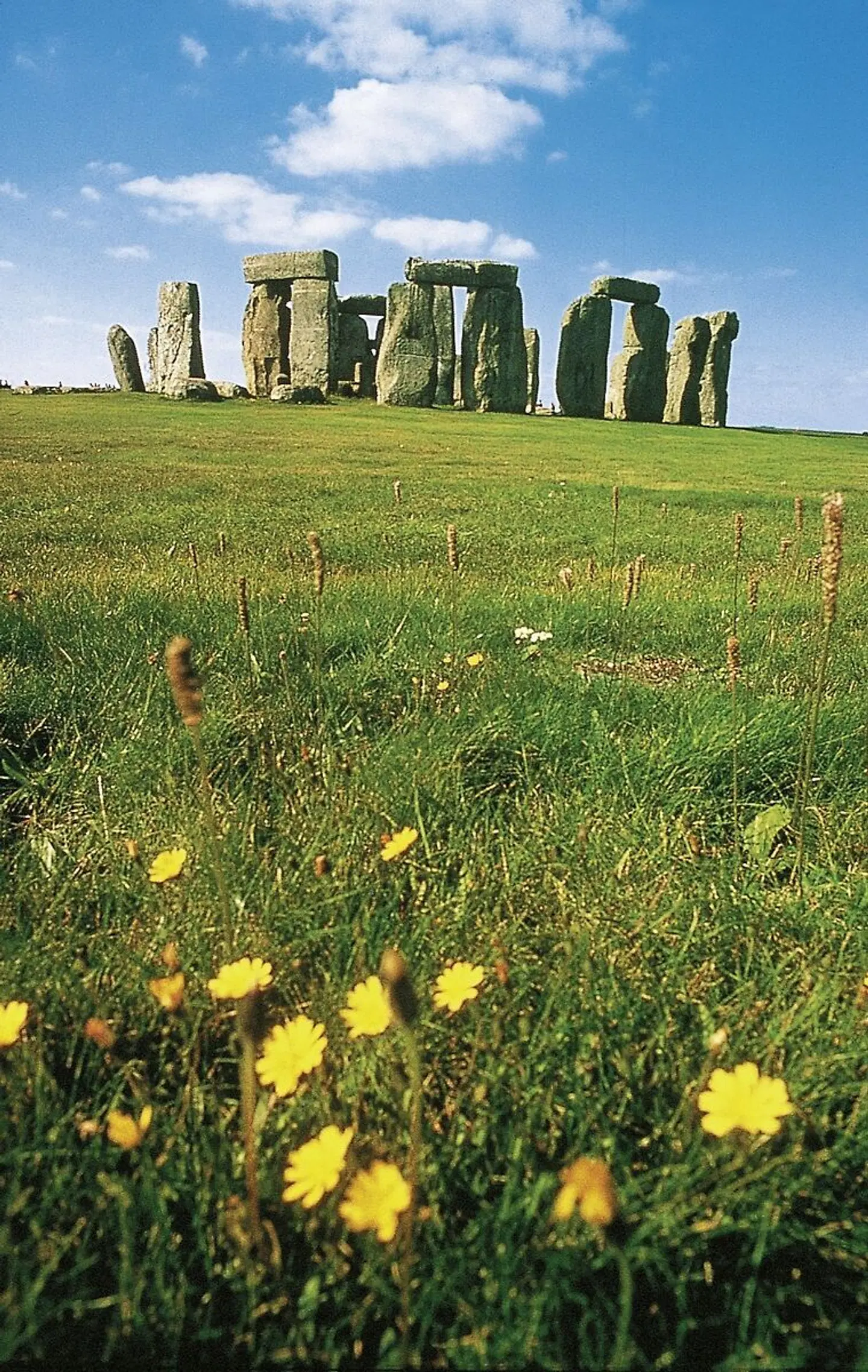 Bahnerlebnisreise Cornwall Garten