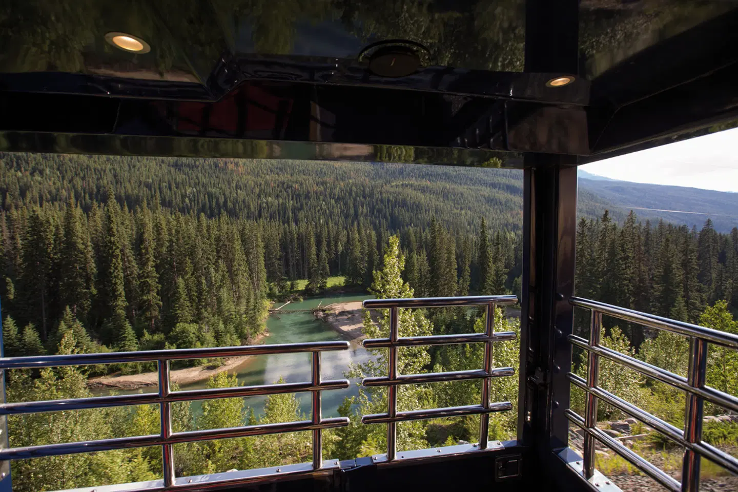 Journey through the Clouds - Rocky Mountaineer (Jasper - Vancouver) Tiere