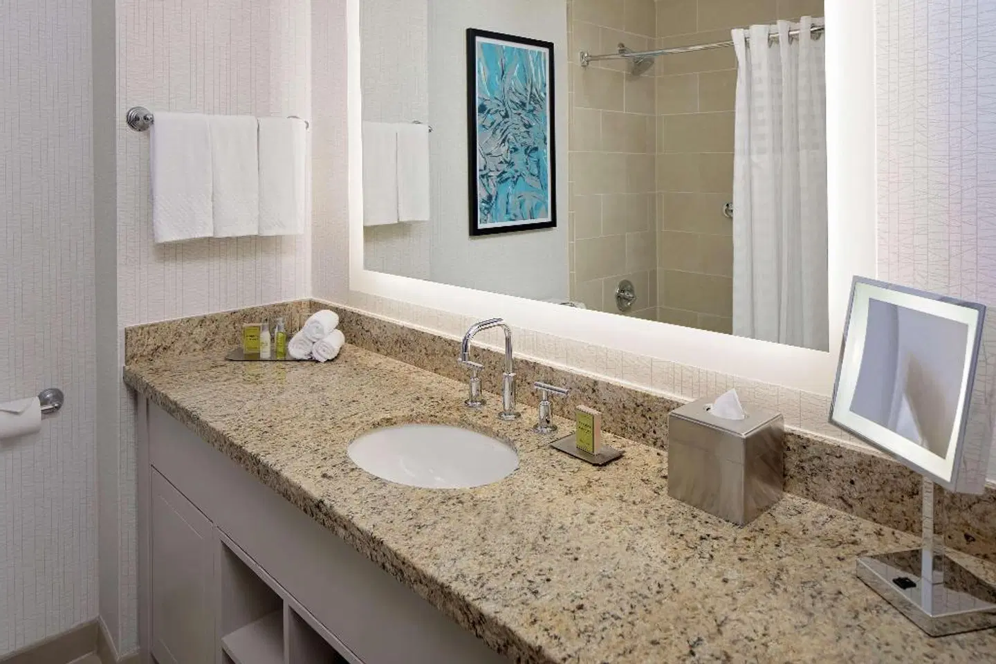 DoubleTree by Hilton Hotel Chicago - Magnificent Mile Badezimmer