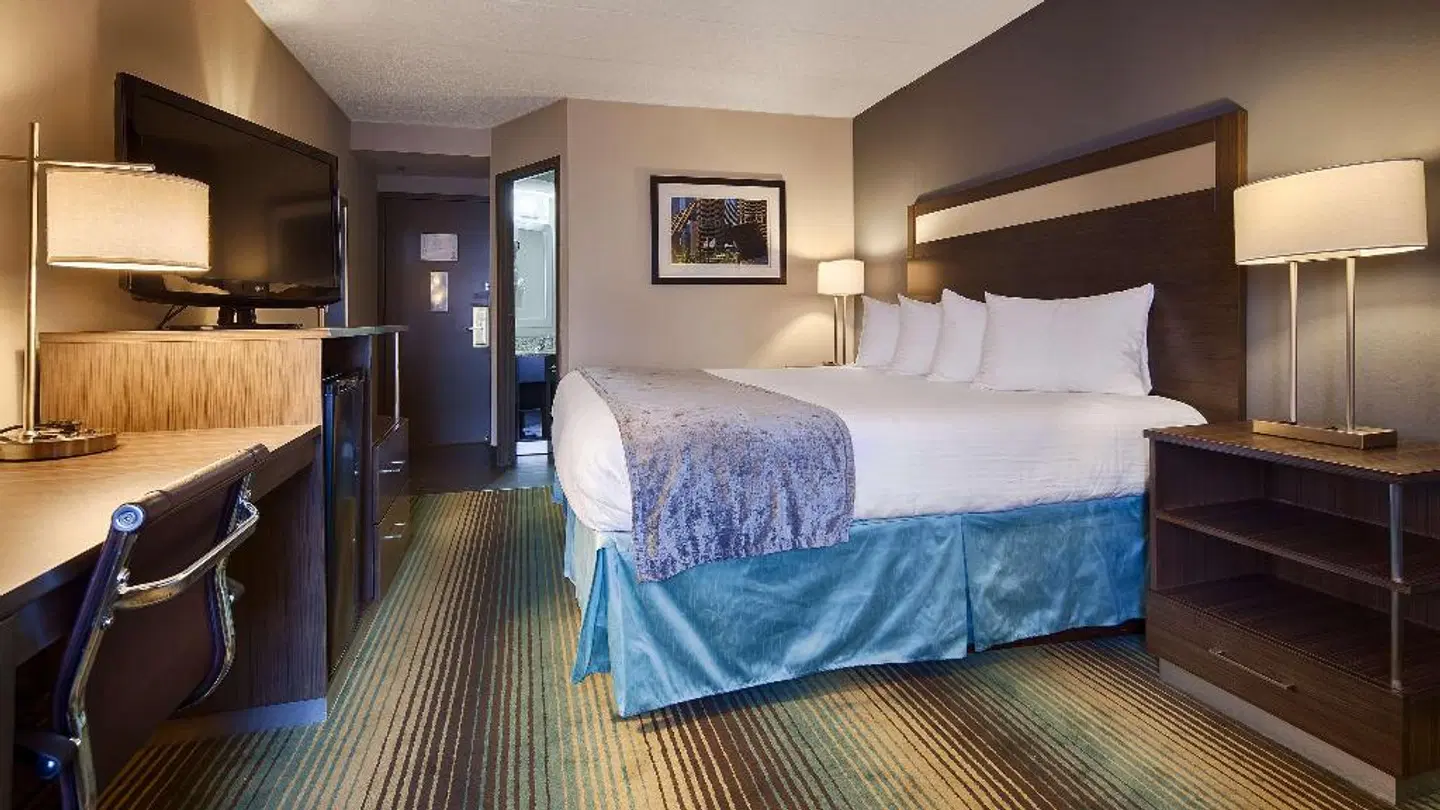 Quality Inn & Suites O'Hare/Elk Grove ROOM_EXAMPLE