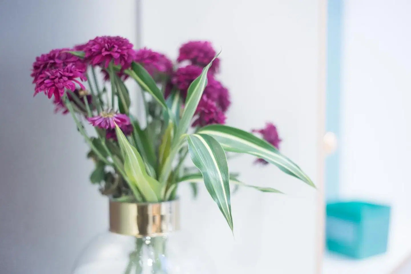 Wardonia Hotel LANDSCAPE