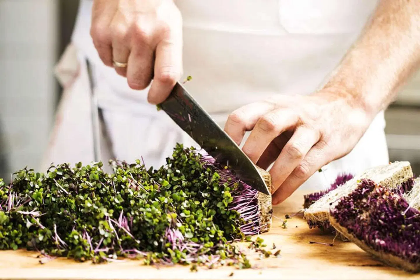 Quality Hotel The Box HEALTH_BEAUTY