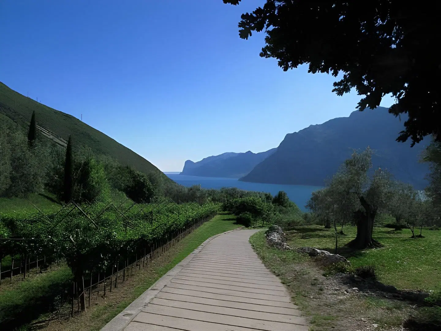 epOche Hotel Zanella 1889 LANDSCAPE