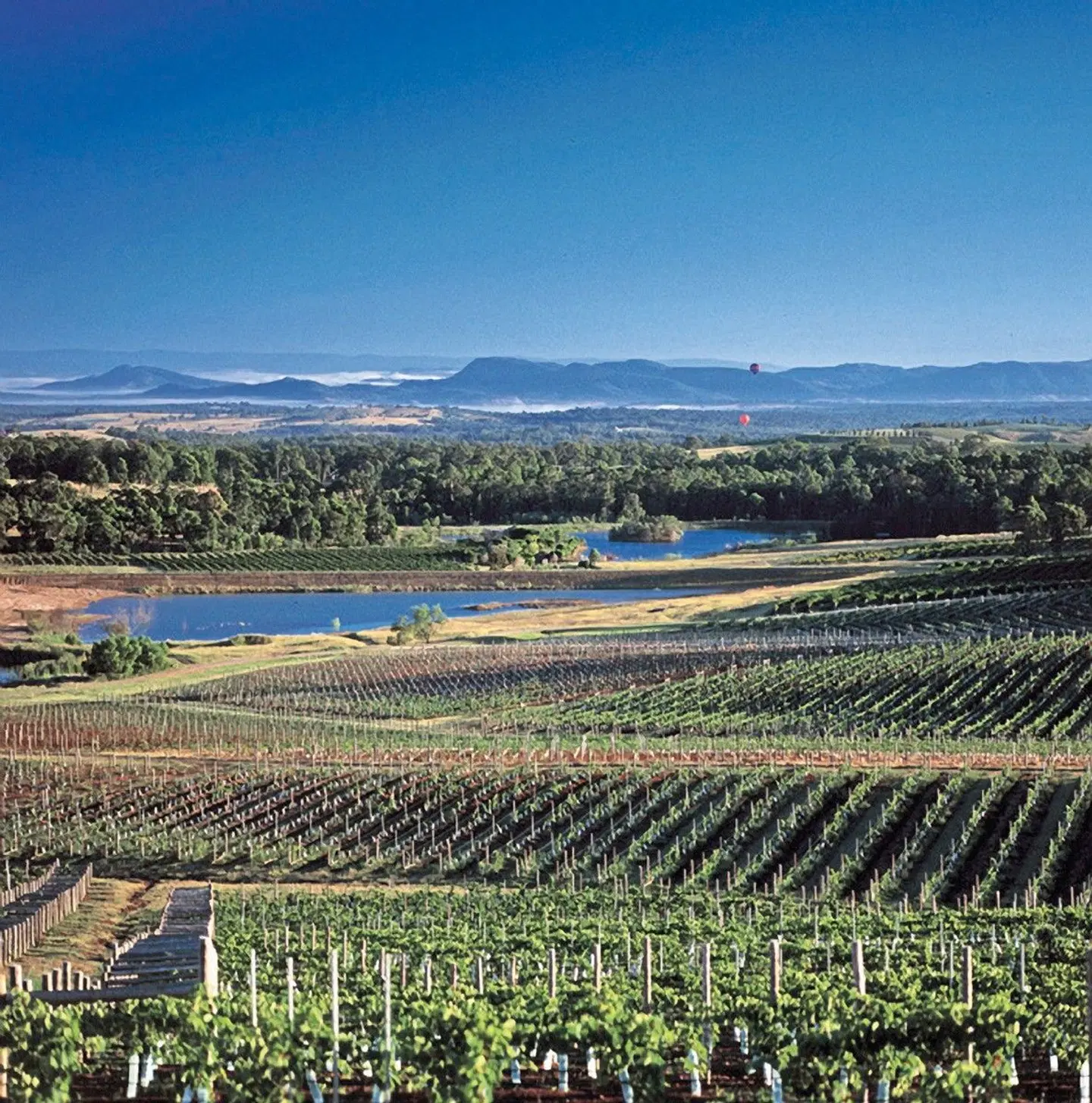 Rund um Sydney - Berge, Wein & Meer LANDSCAPE