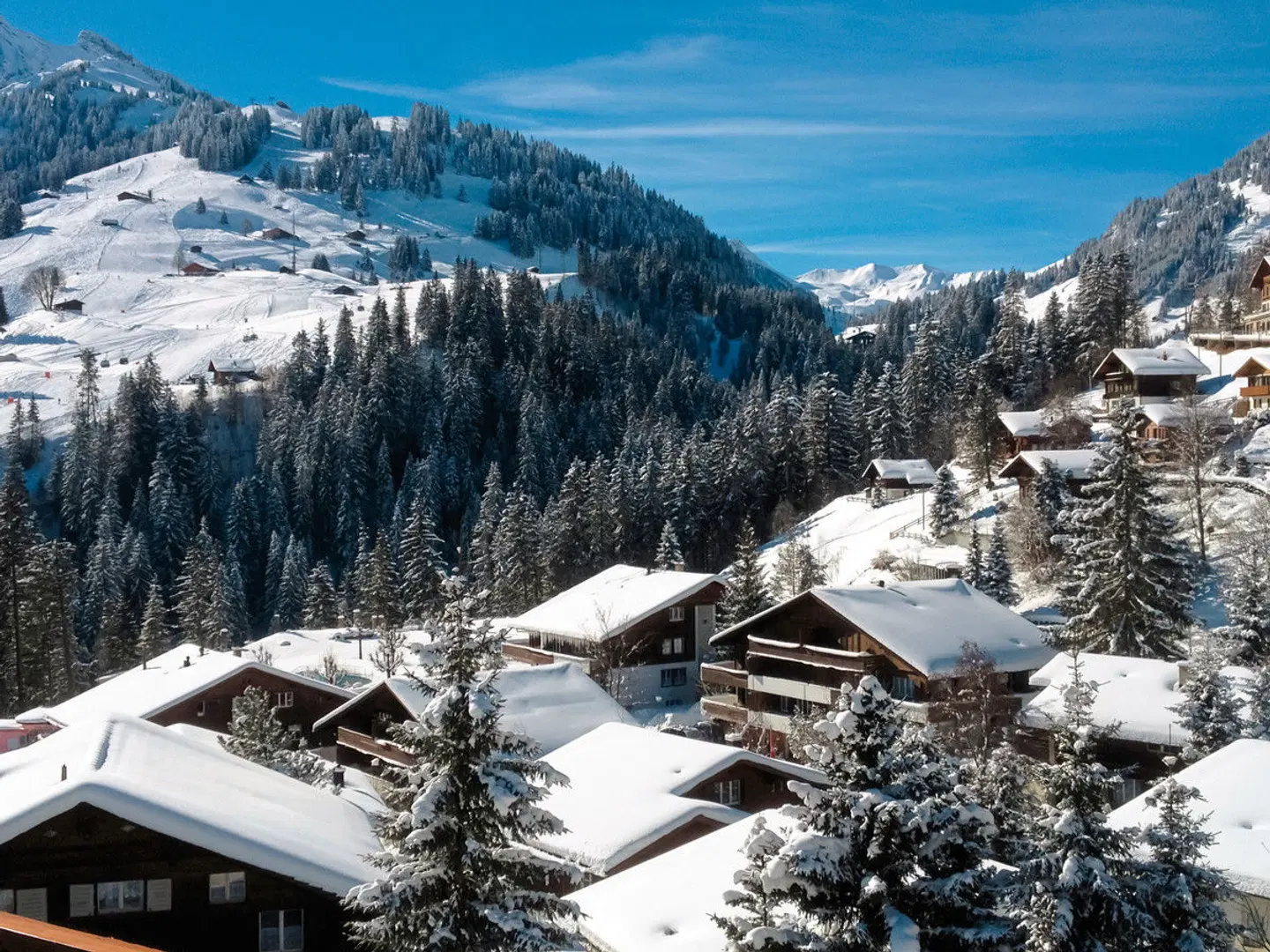 Hotel Steinmattli LANDSCAPE