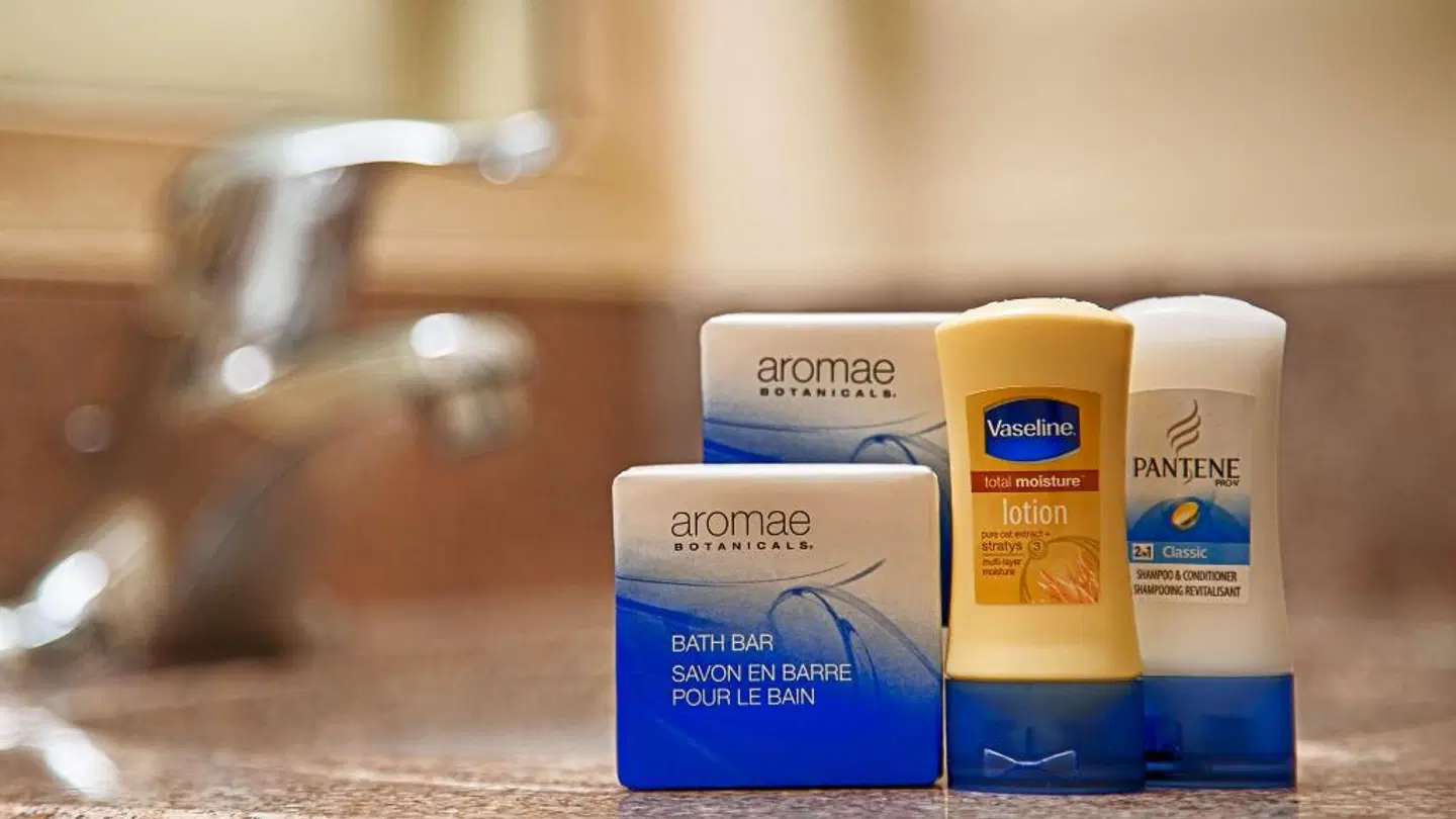 Best Western Jamaica Inn ROOM_EXAMPLE