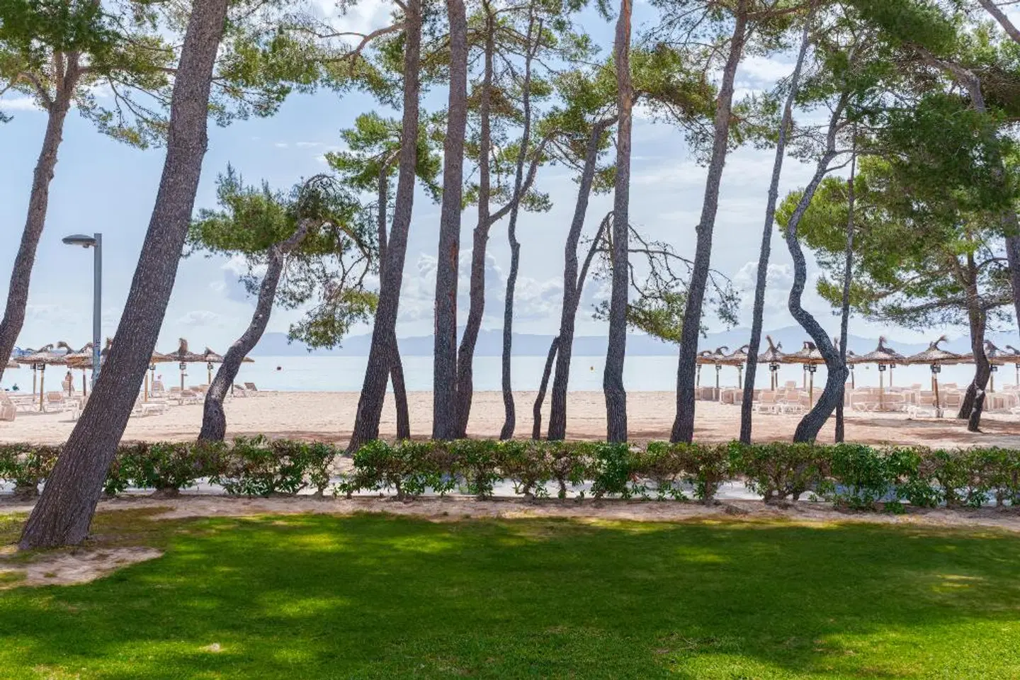 Caprice Playa de Alcudia LANDSCAPE