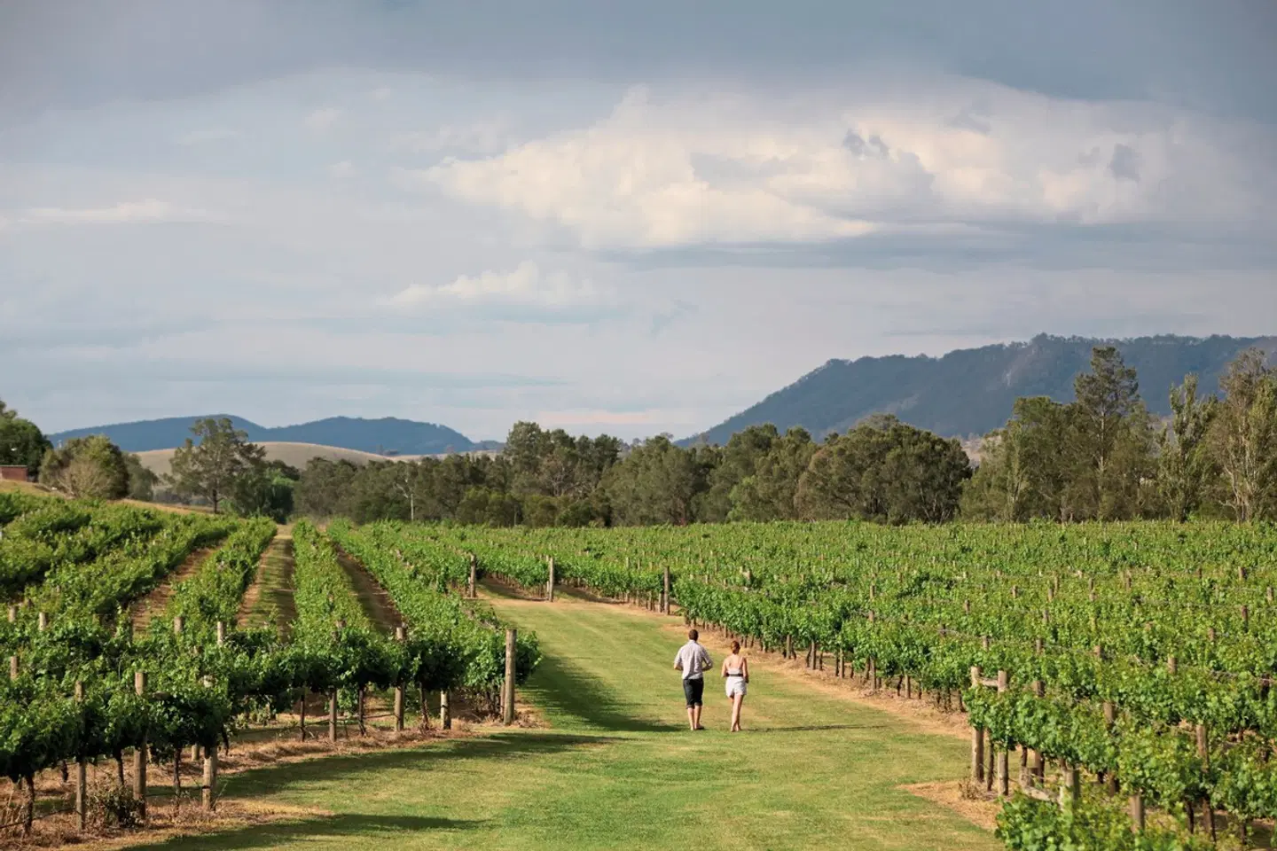 Coastal Explorer SPORTS_AND_LEISURE