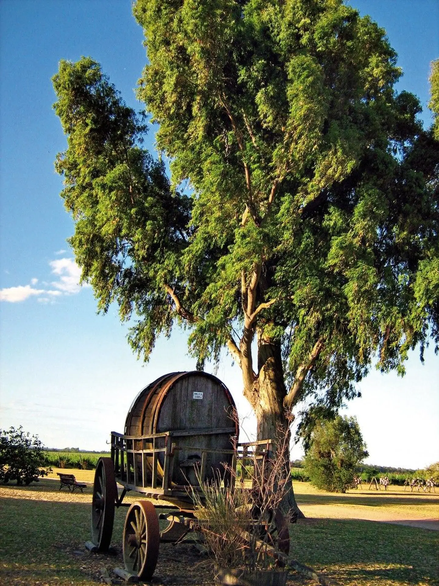 Unterwegs im Land der Gauchos Garten
