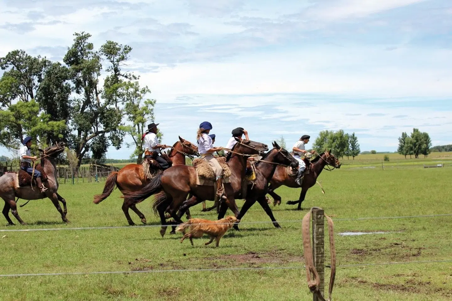 Unterwegs im Land der Gauchos Tiere