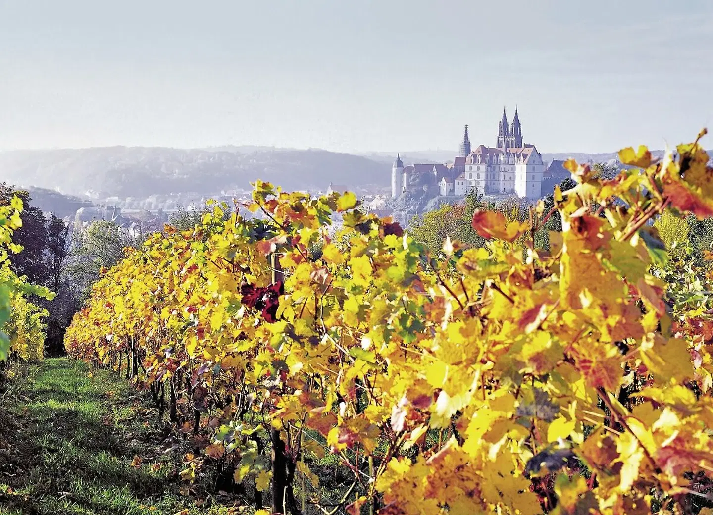 Der Elbe-Radweg klassisch LANDSCAPE