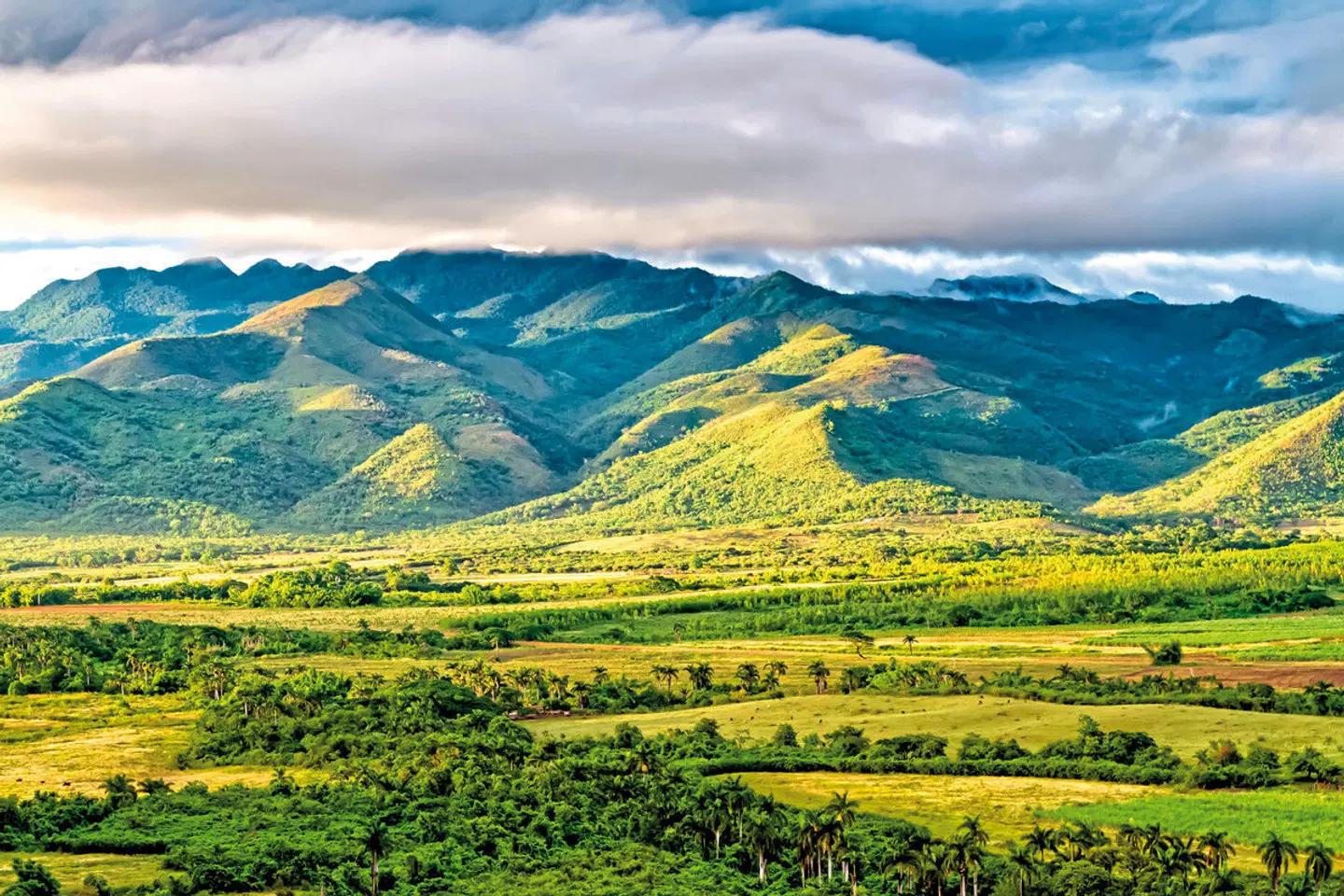 Zucker, Rum & Tradition LANDSCAPE