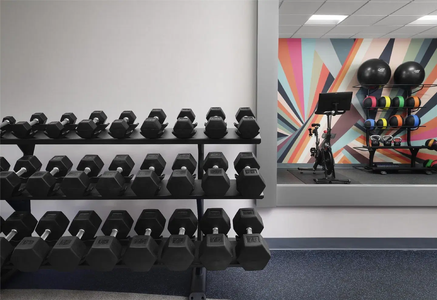 Hilton Garden Inn Tampa East/Brandon SPORTS_AND_LEISURE