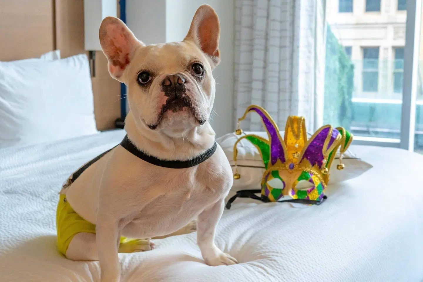 Residence Inn by Marriott New Orleans French Quarter Area/Ctr Bus.Dist. HEALTH_BEAUTY