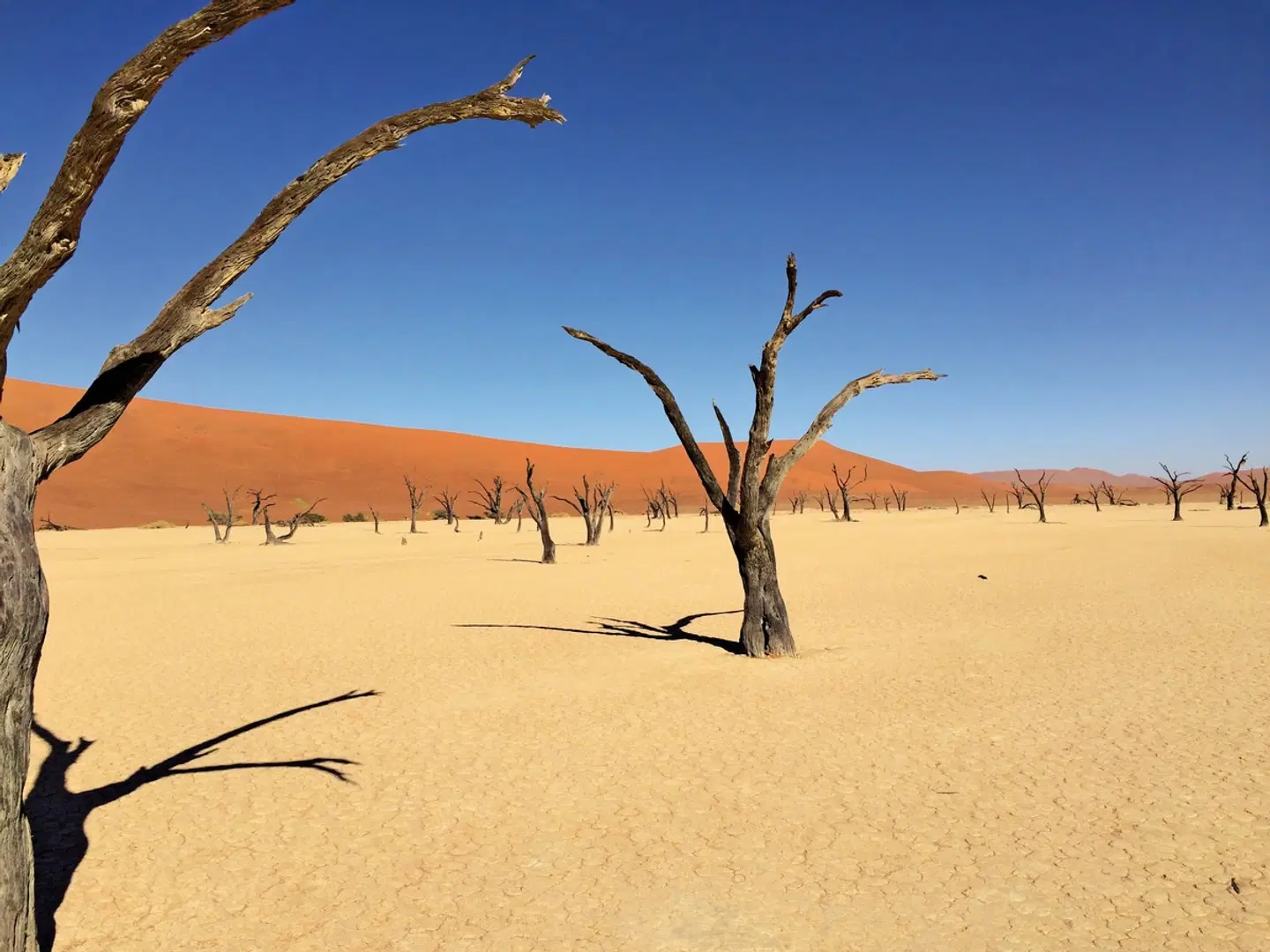 Traumreise Namibia LANDSCAPE