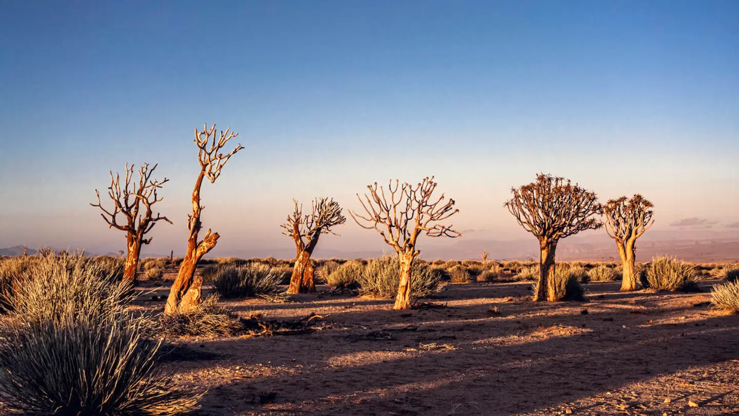Traumreise Namibia LANDSCAPE