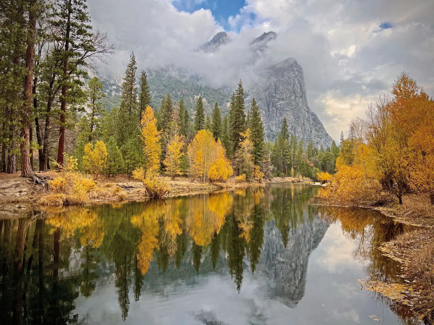 Blackberry Inn Yosemite Groveland LANDSCAPE