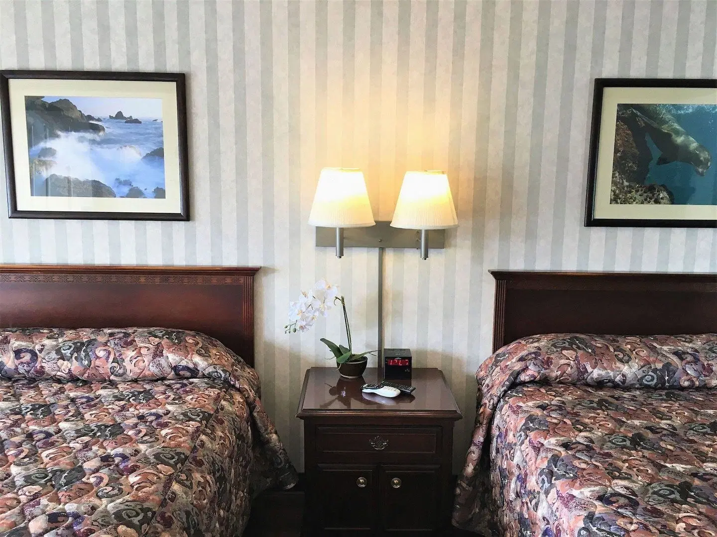 Emerald Dolphin Inn & Mini Golf ROOM_EXAMPLE