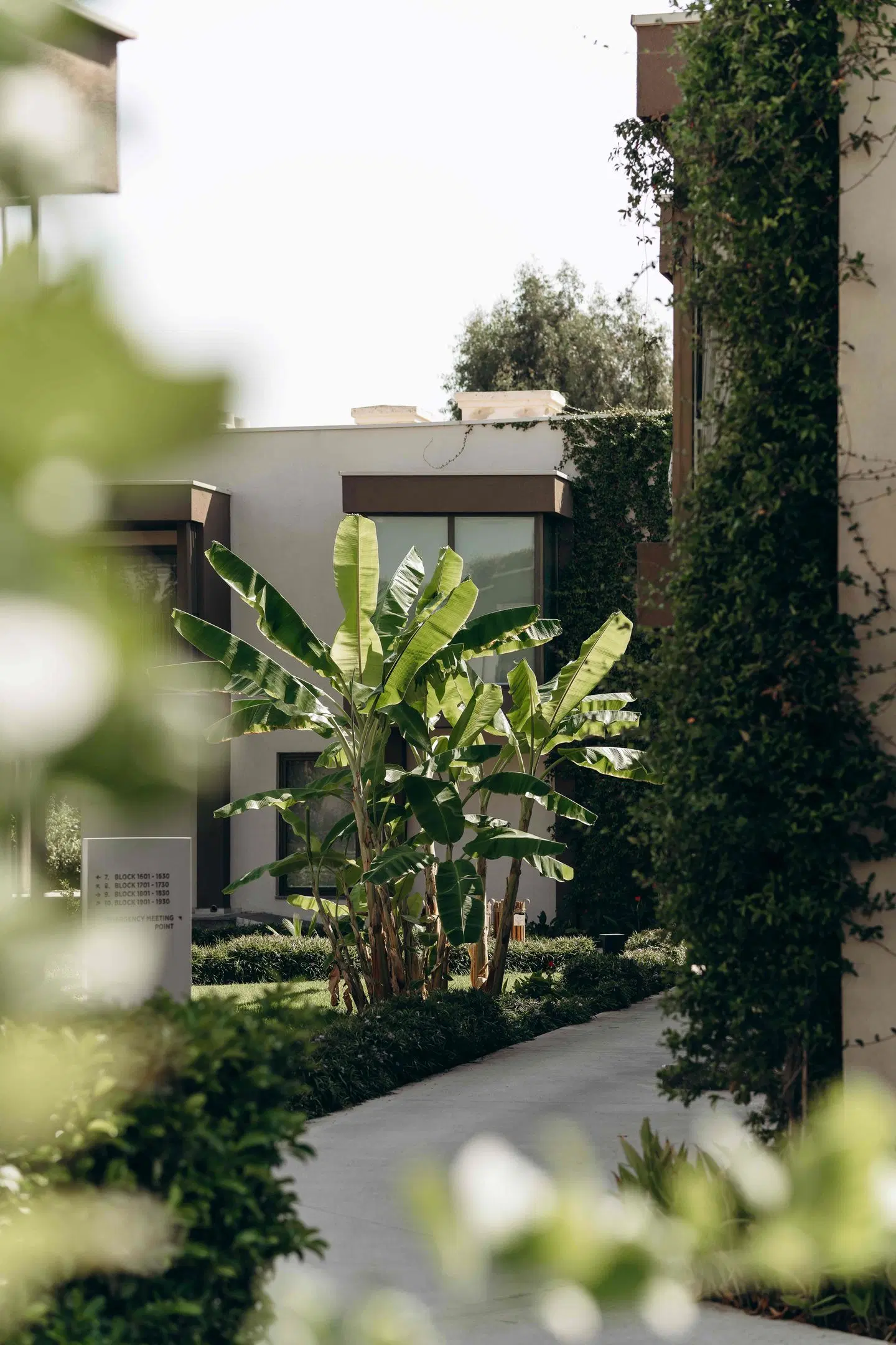 Paloma Orenda EXTERIOR