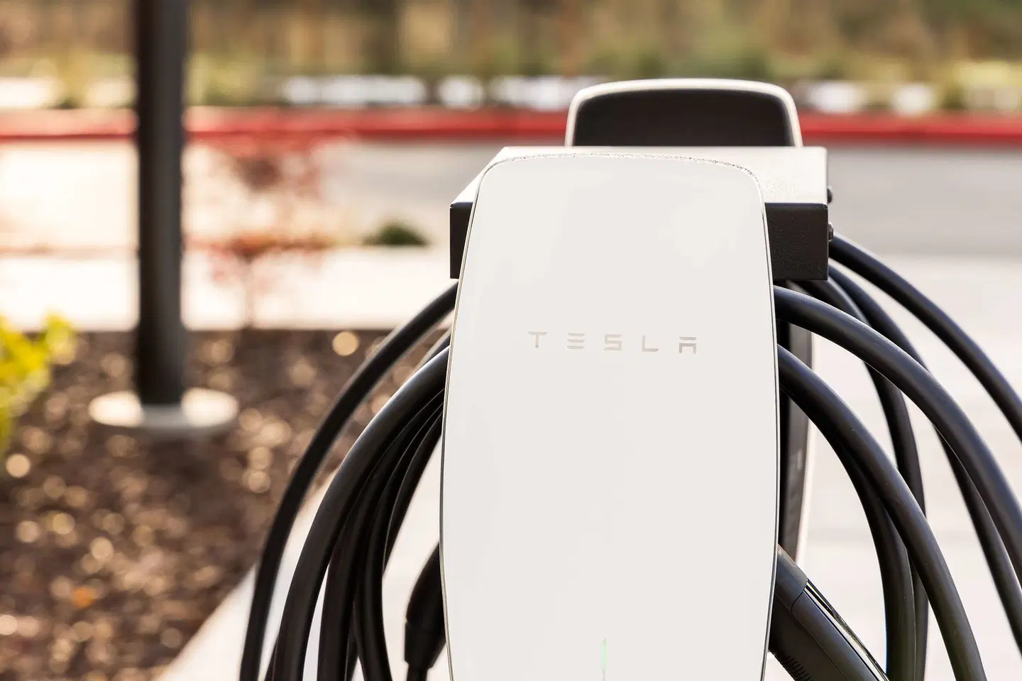 Hampton Inn & Suites Santa Rosa Sonoma Wine Country Terrasse