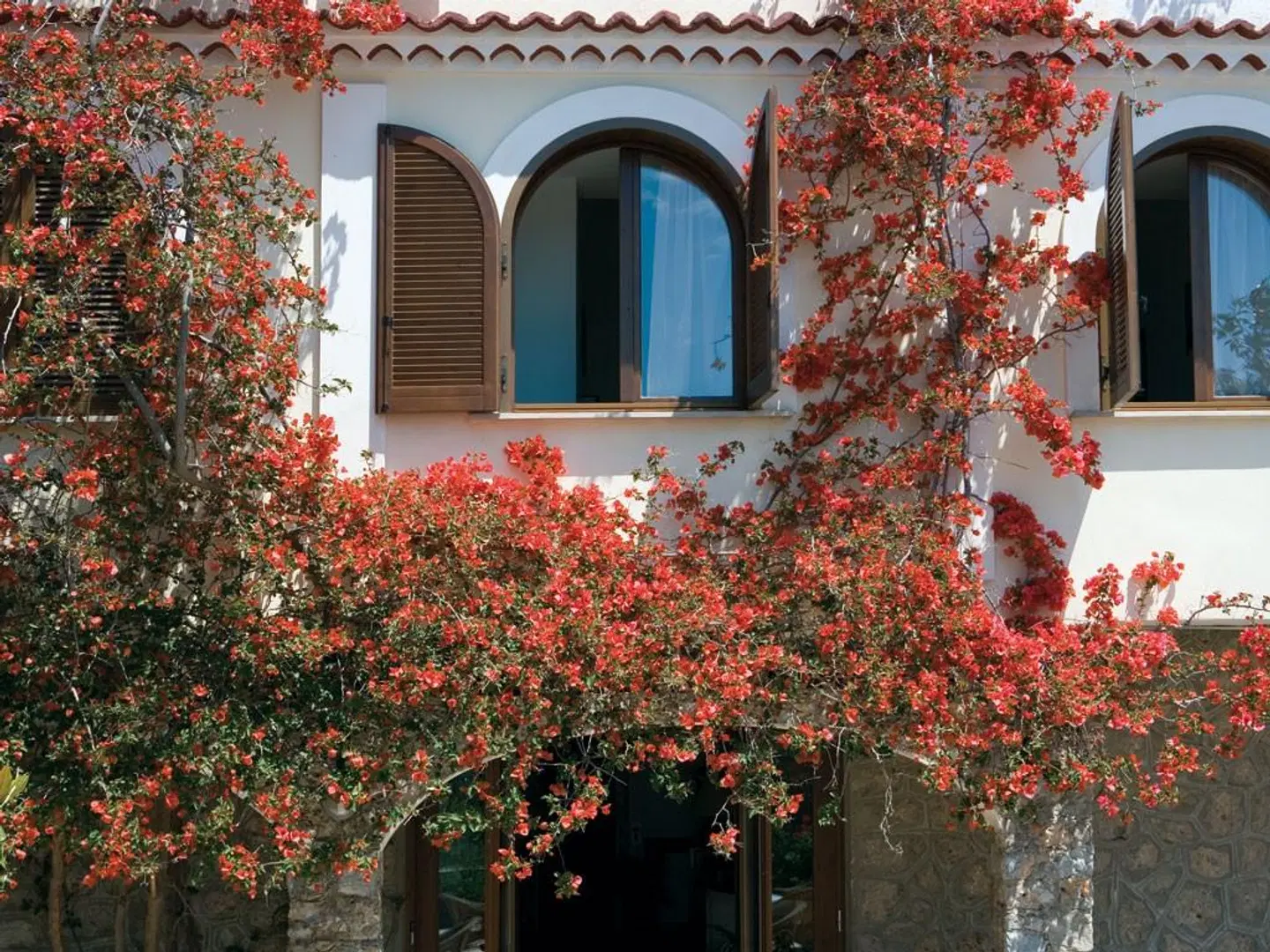 Club San Diego EXTERIOR