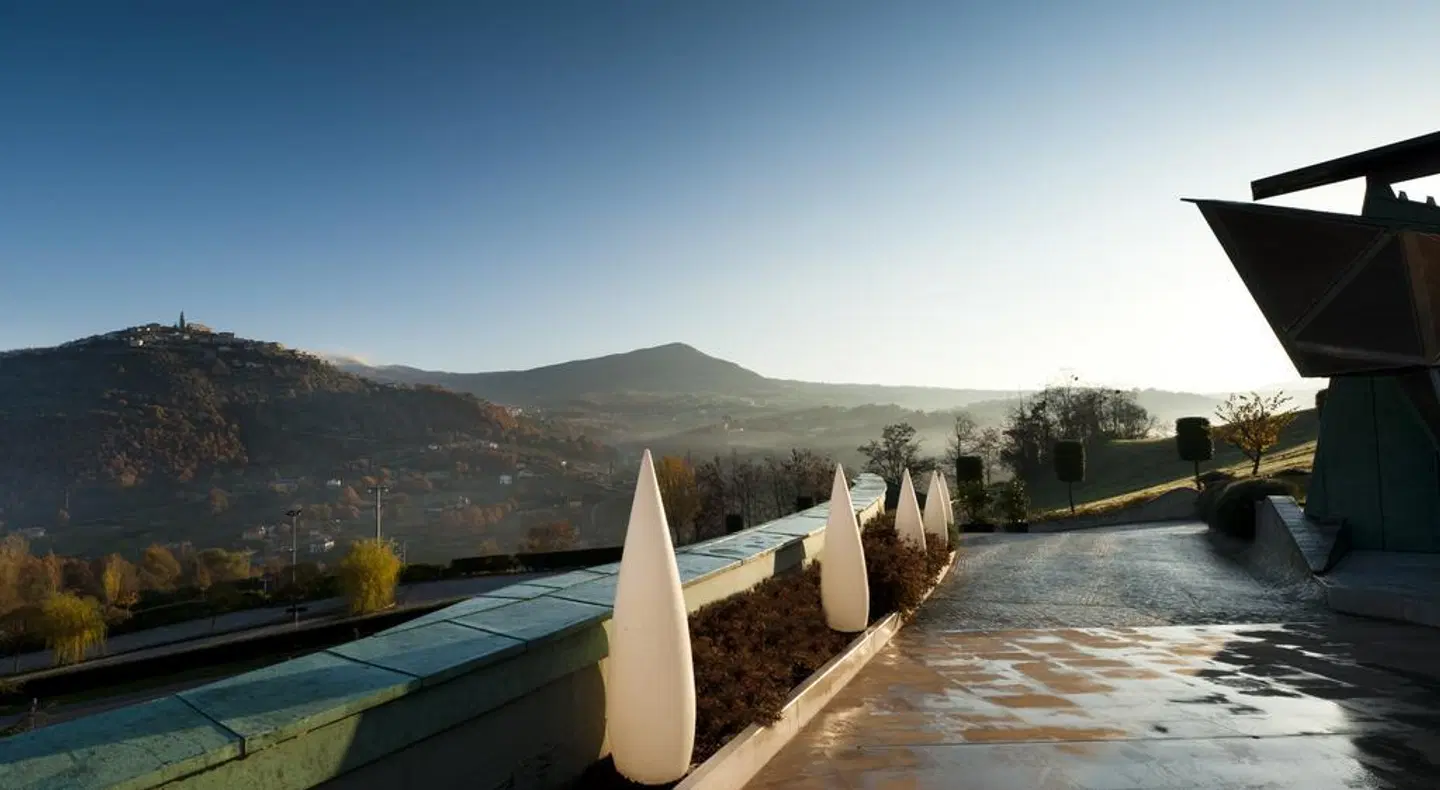 Bouganville LANDSCAPE