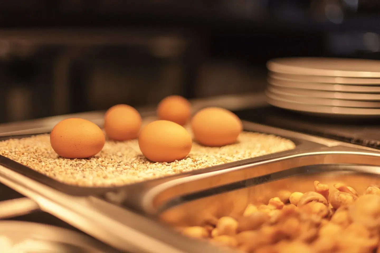 Holiday Inn - the niu, Flux Passau by IHG HEALTH_BEAUTY