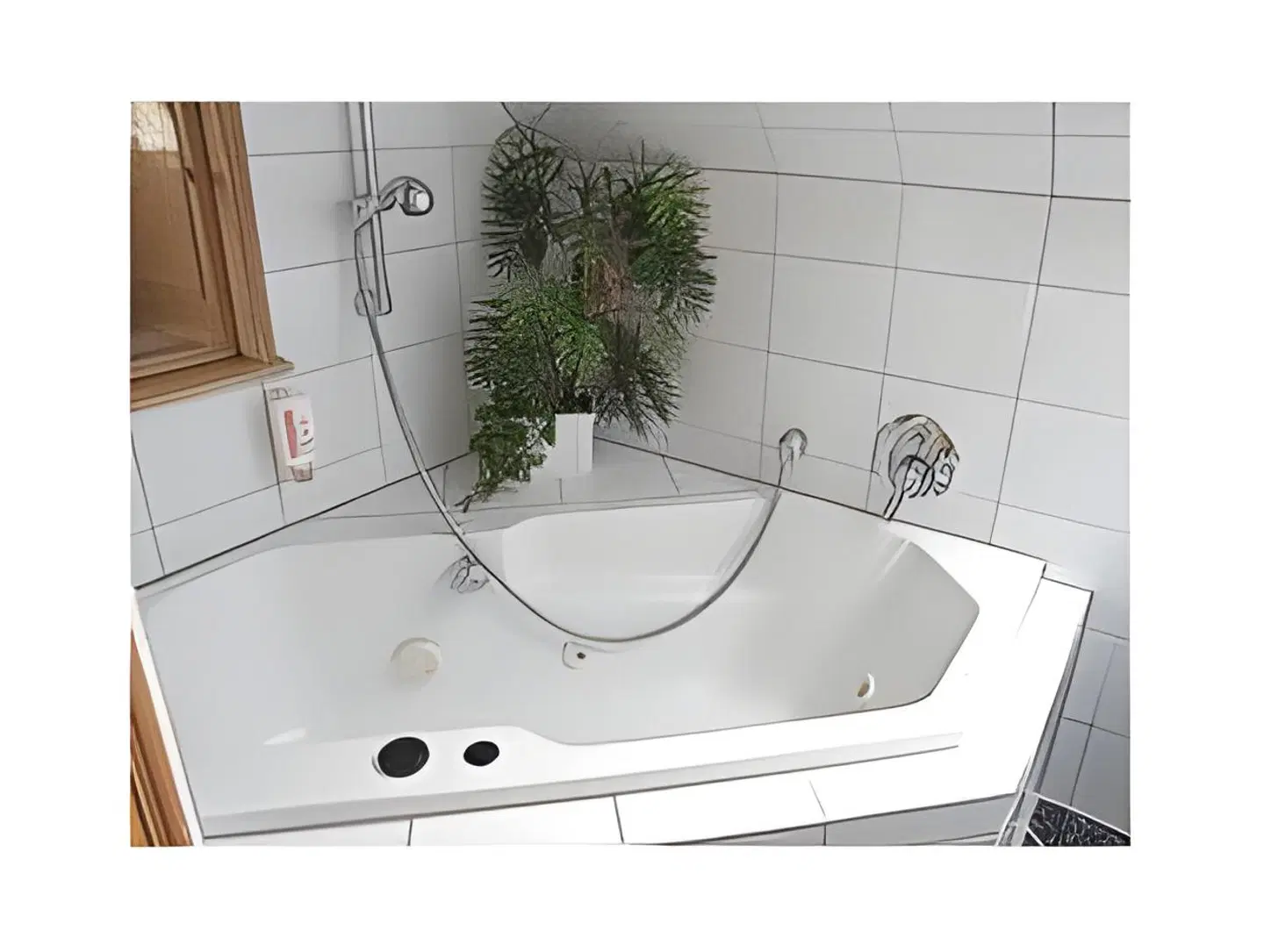 Jauch's Löwen Badezimmer