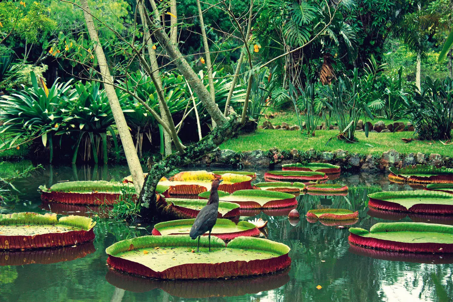 Vielfalt Perus - Küste, Berge & Dschungel Garten