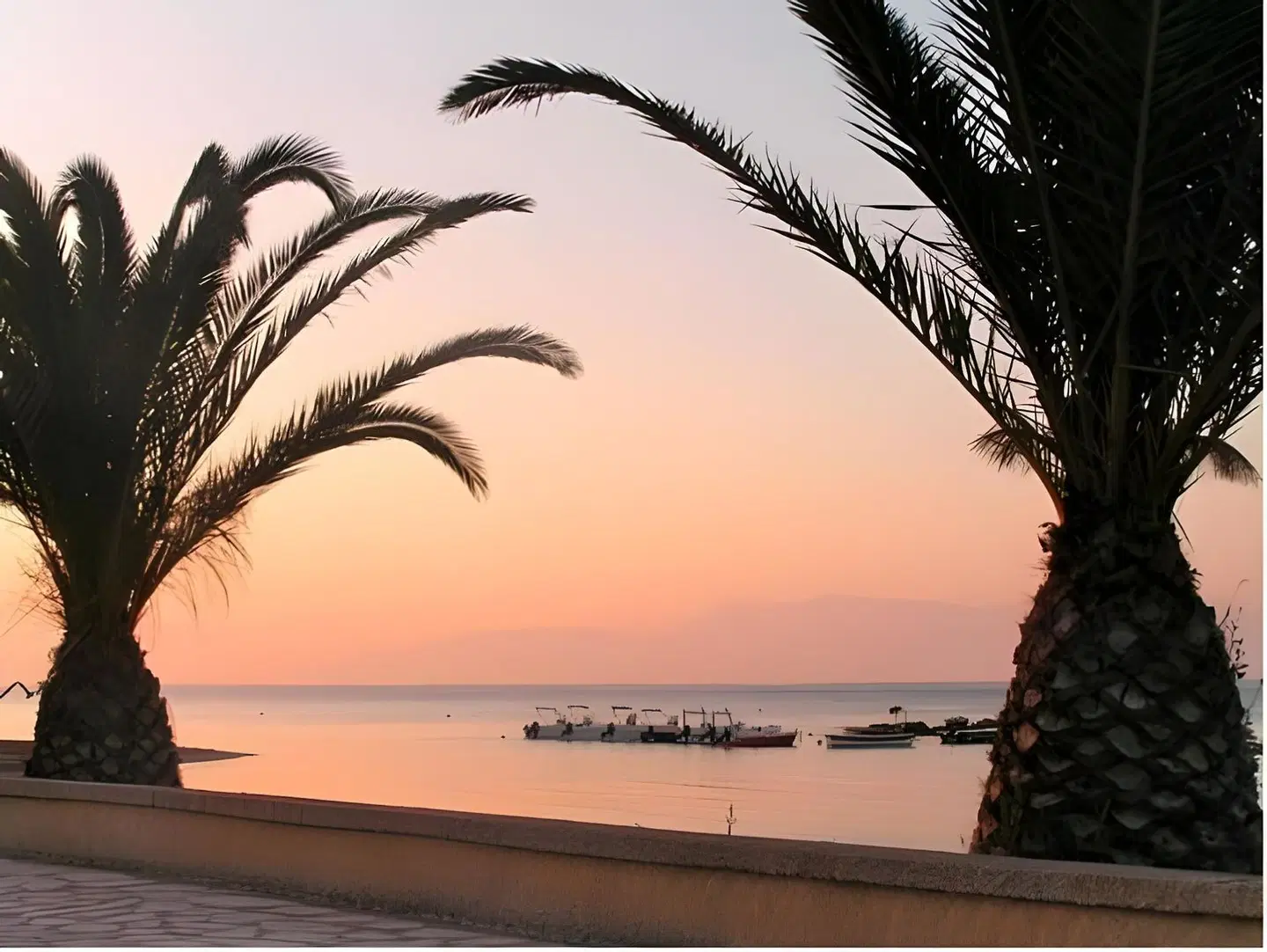 Pipitsa's Apartments Tiere