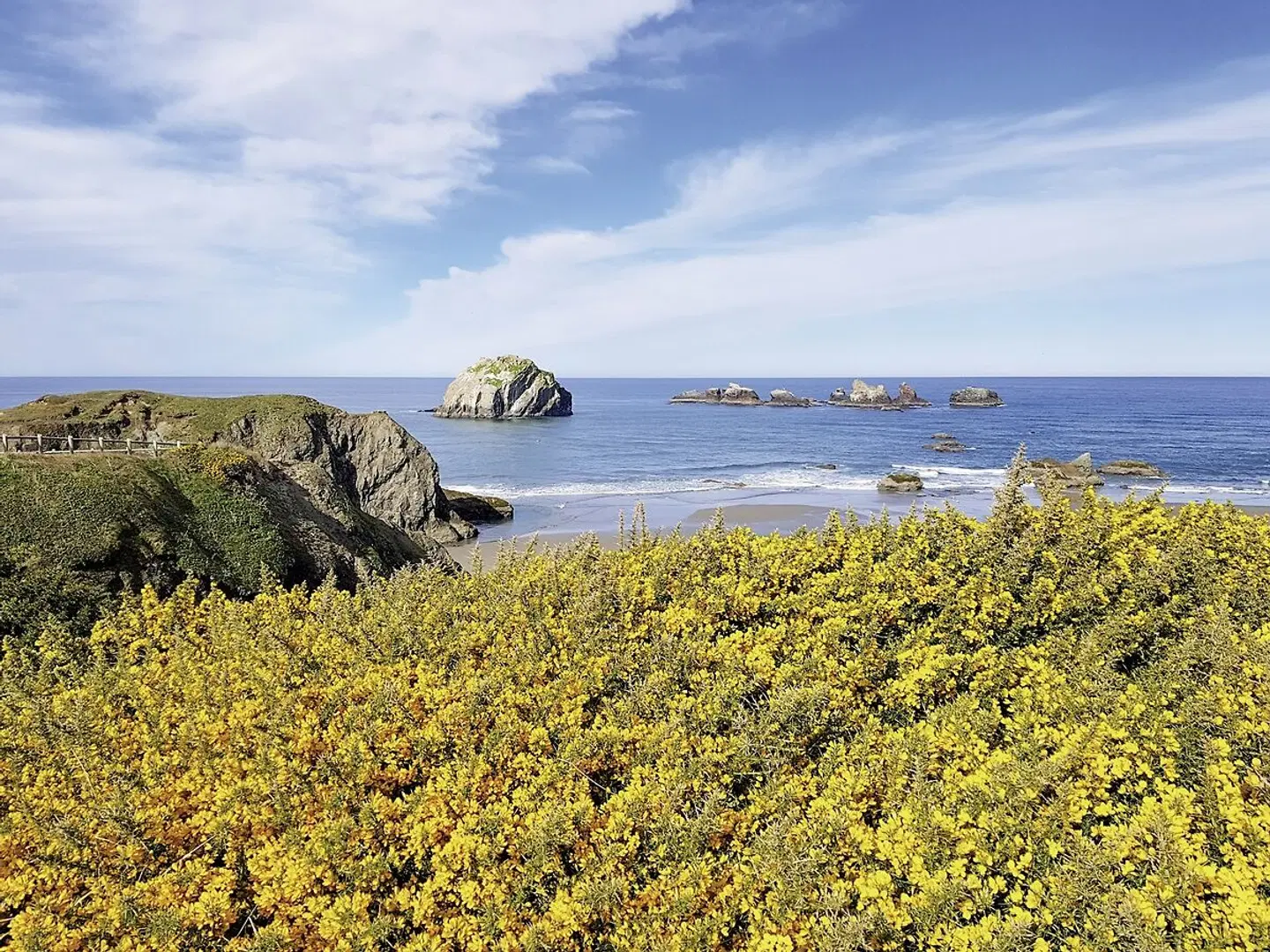 Wilde Küste & Majestätische Wälder LANDSCAPE
