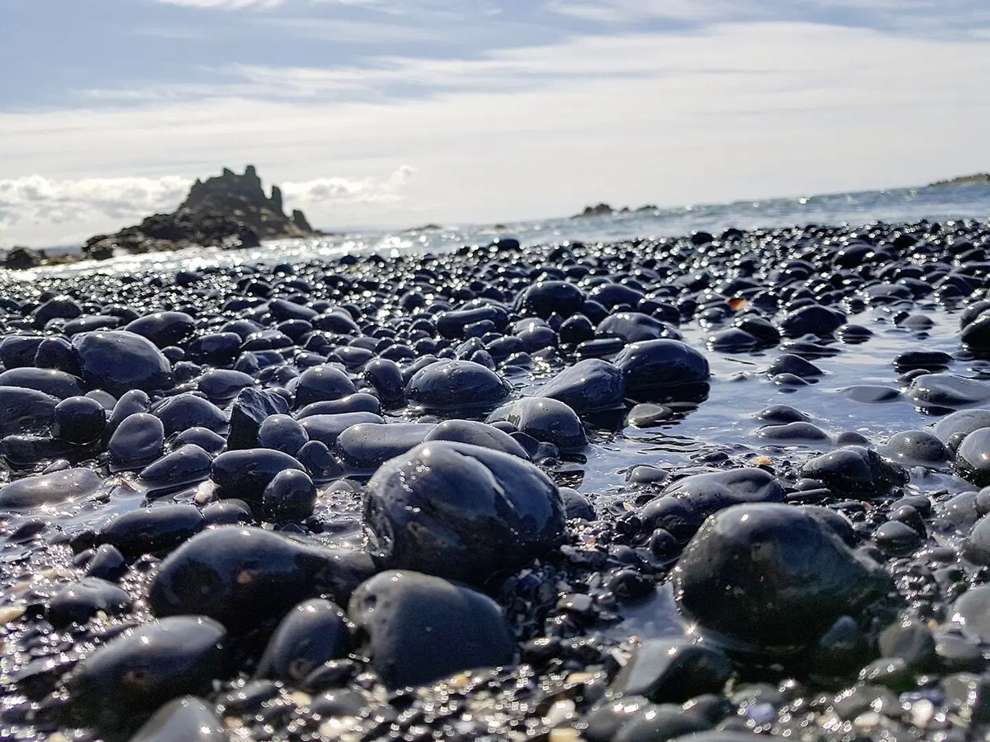 Wilde Küste & Majestätische Wälder Strand